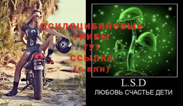 ГАЛЛЮЦИНОГЕННЫЕ ГРИБЫ Лиски