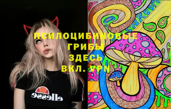 ГАЛЛЮЦИНОГЕННЫЕ ГРИБЫ Лиски