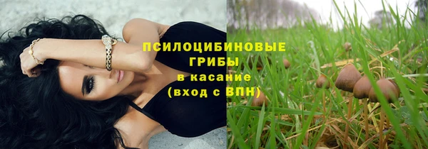 ГАЛЛЮЦИНОГЕННЫЕ ГРИБЫ Мегион