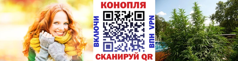 Купить где  Алексин  МАРИХУАНА Amnesia 
